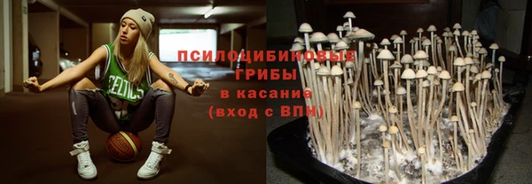 мдма Няндома