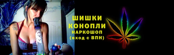 ПСИЛОЦИБИНОВЫЕ ГРИБЫ Осинники