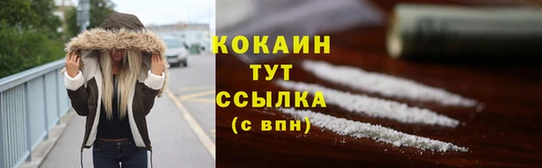 тгк Белая Холуница