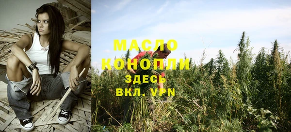 шишки Нязепетровск