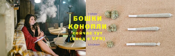 ПСИЛОЦИБИНОВЫЕ ГРИБЫ Осинники