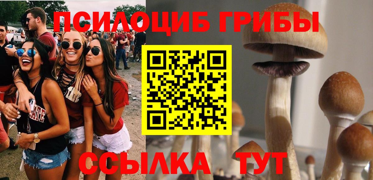 Псилоцибиновые грибы ЛСД  Усть-Лабинск 
